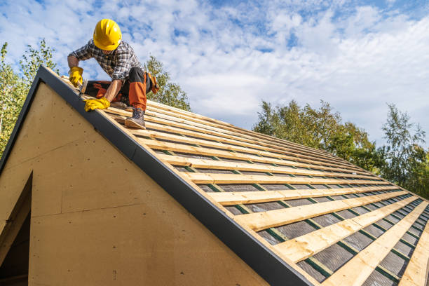 Roof Gutter Cleaning in Asbury, IA