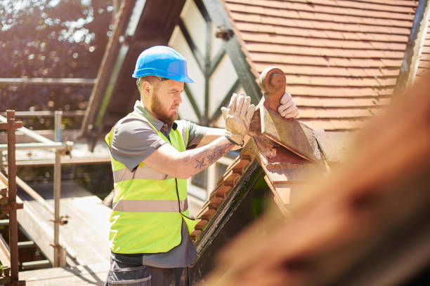 Best Roof Repair Services  in Asbury, IA