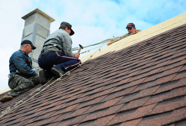 Best New Roof Installation  in Asbury, IA
